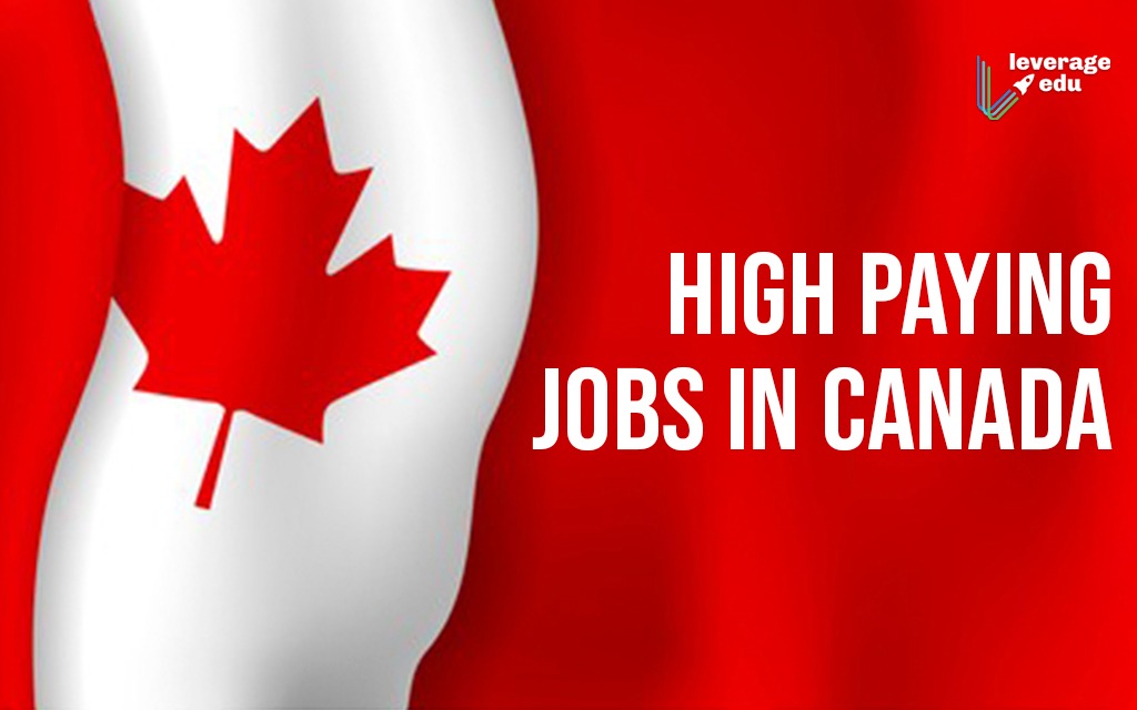 The Top 7 Highest Paying Positions for Foreign Workers in Canada
